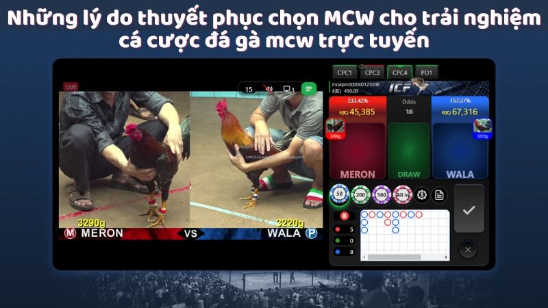 Những lý do thuyết phục chọn MCW cho trải nghiệm cá cược đá gà mcw trực tuyến