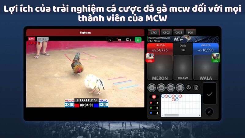 Lợi ích của trải nghiệm cá cược đá gà mcw đối với mọi thành viên của MCW