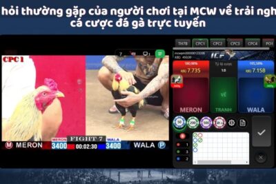 MCW – Sân Chơi Lý Tưởng Của Người Yêu Thích Đá Gà Mcw