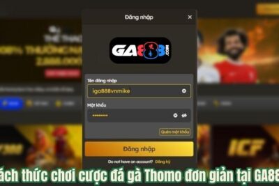 GA888 – Xem Và Đặt Cược Trực Tiếp Đá Gà Thomo Hấp Dẫn